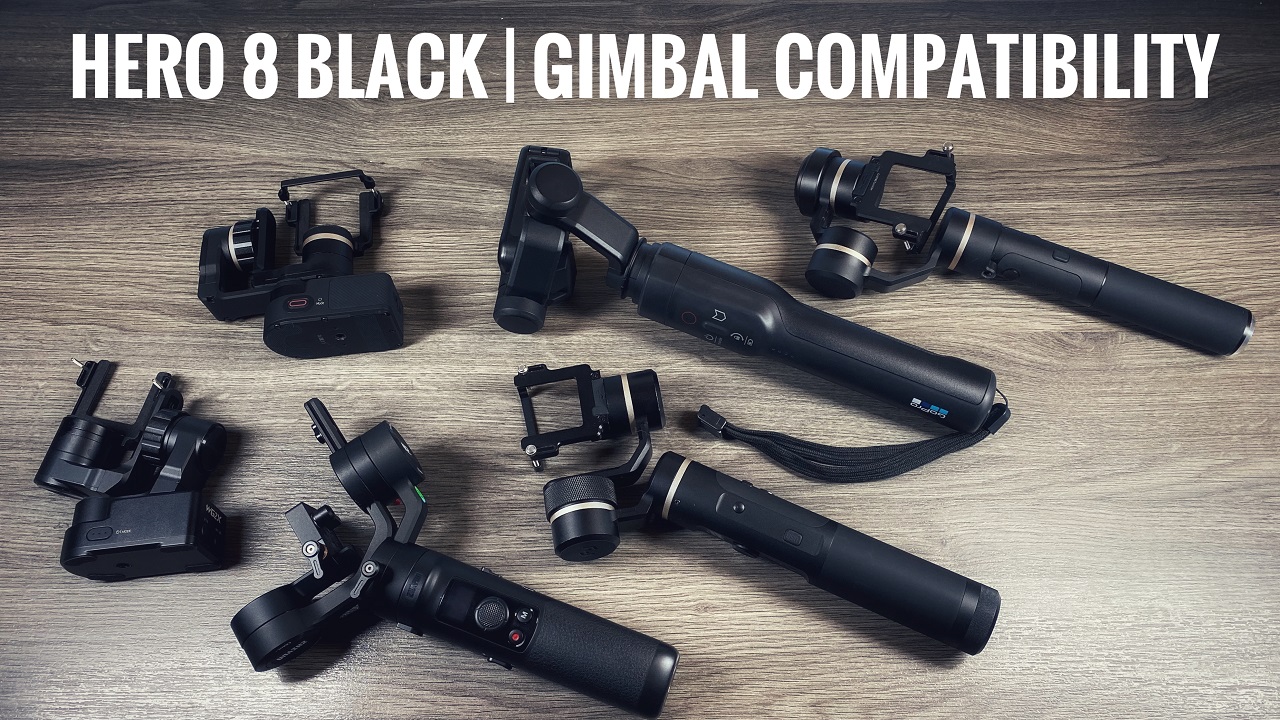GoPro Hero 8 Black and gimbal compatibility.